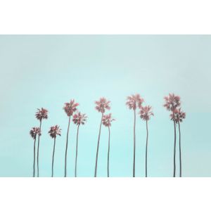 DD119773 Photomural Artist