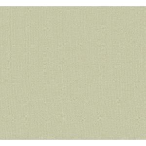 1001 Wallpaper JV106 Amazonia