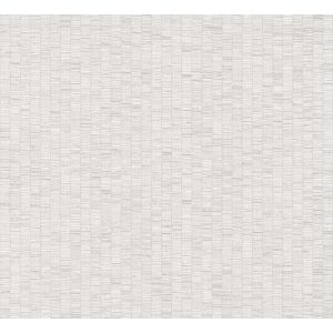 1010 Wallpaper JV106 Amazonia