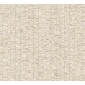 1011 Wallpaper JV106 Amazonia