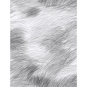 25143 Wallpaper Marimekko 6