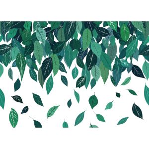 FLX7-012 Фототапет Eukalyptus