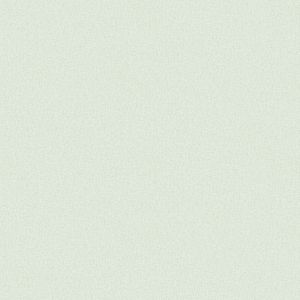 G78161 Vinyl wallpapers Texture FX