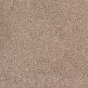 Carpet Lasting Memories 68