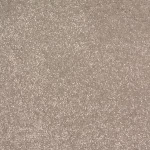 Carpet Lasting Memories 69