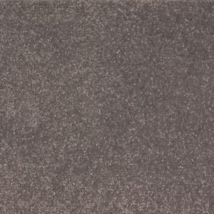 Carpet Lasting Memories 74
