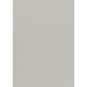 P8857 Тапет винил Glacier