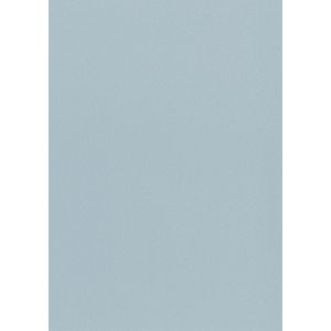 P8860 Тапет винил Glacier