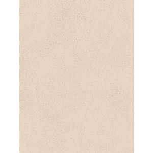 P9804 Тапет винил Rome