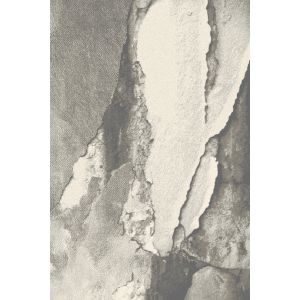 Килим Isfahan Patara Anthracite