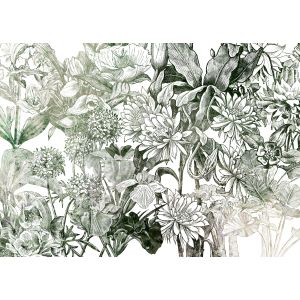 X7-1045 Фототапет Valerie