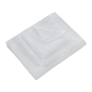 Towel Roberto Cavalli Zebrage.012