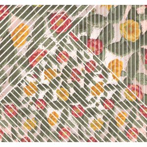 Hx6-042 Фототапет Cactus