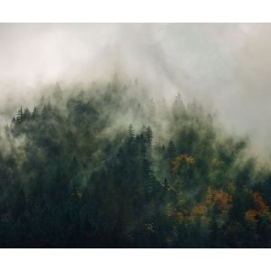 PSH036-VD3 Фототапет Tales of the Carpthians