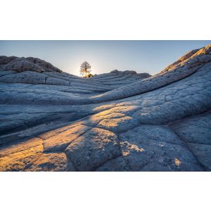 PSH104-VD4 Фототапет Elephant Skin