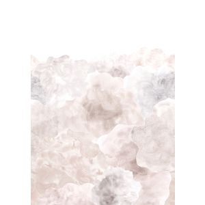 RB315 Влийс Пано Daydreamers