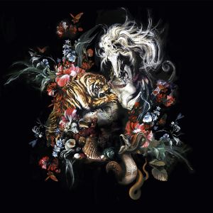 19201 Пано Roberto Cavalli 9