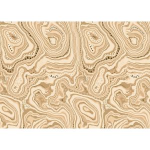 25514 Тапет Винил Enriquezland