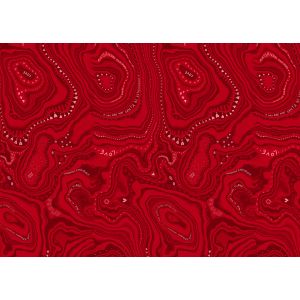 25550 Тапет Винил Enriquezland