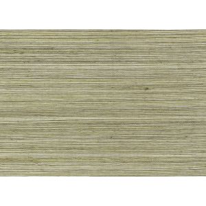 4765 Тапет JV454 Omnia