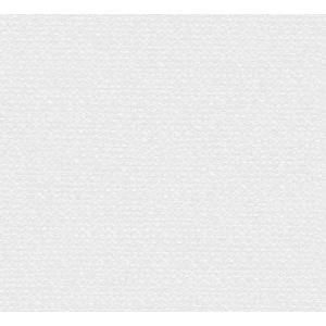 SEN501 Тапет винил Raffia