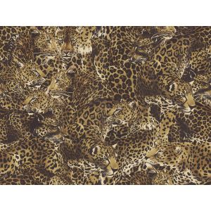 TCW007TCAHOUL022 Тапет Винил Dolce & Gabbana