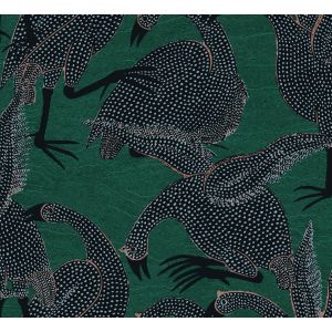 TER101 Wallpaper Guinea