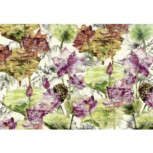 Xxl4-070 Фототапет Lotus