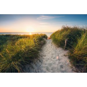 XXL4-076 Фототапет Way to the Beach